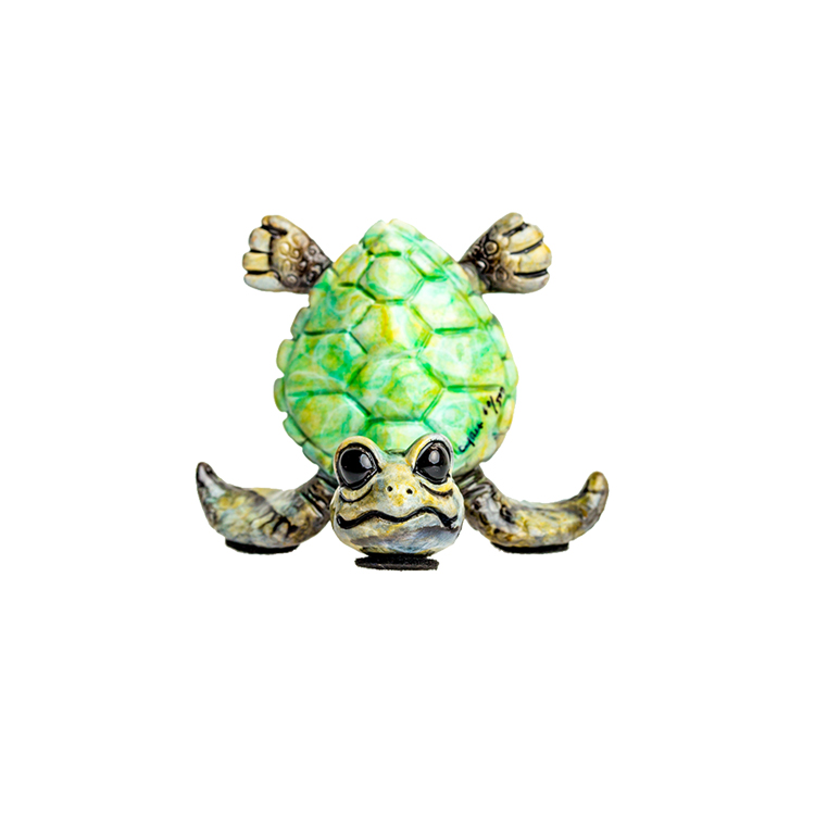  Mini Turtle